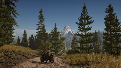 Days Gone Mouse Pad 34368