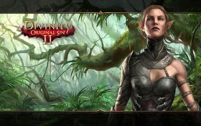 Divinity Original Sin II Mouse Pad 35942