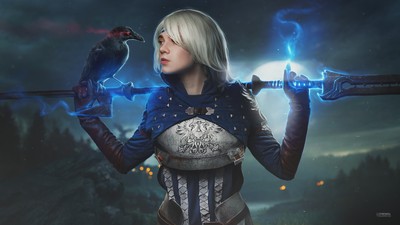 Dragon Age Poster #36506