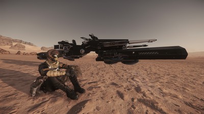 Dragonfly posters