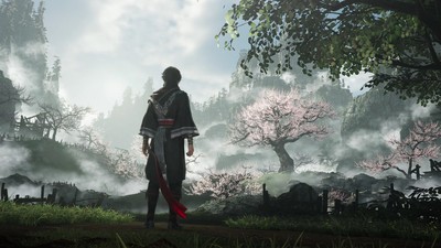 Dynasty Warriors Origins posters