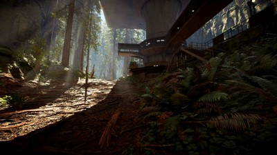Endor mug