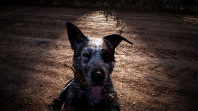 Far Cry 5 Poster #38580