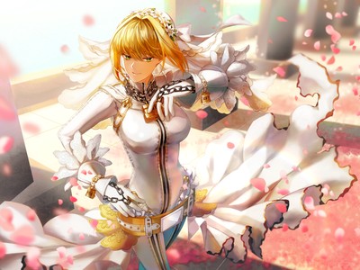 Fate-Extra CCC posters