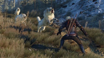 Geralt of Rivia Poster #42215