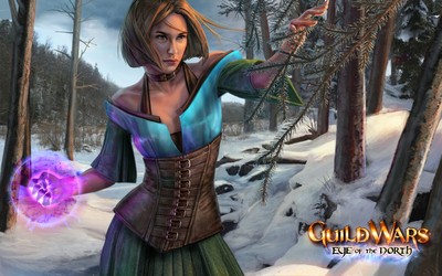 Guild Wars Poster #43837