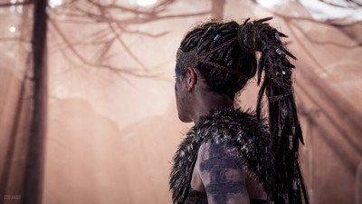 Hellblade Senua's Sacrifice Poster #44935