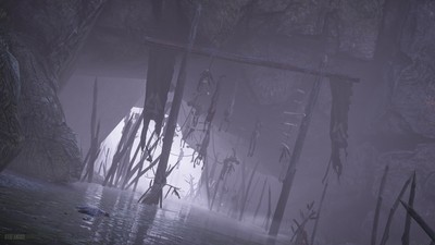 Hellblade Senua's Sacrifice Poster #44939