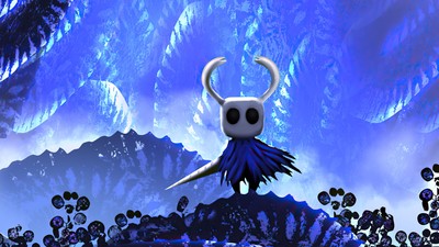 Hollow Knight Poster #45494