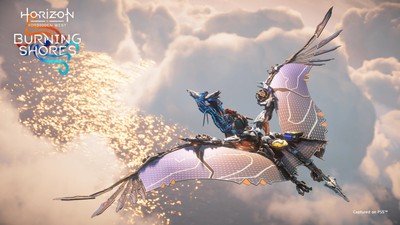 Horizon Forbidden West Poster #45884