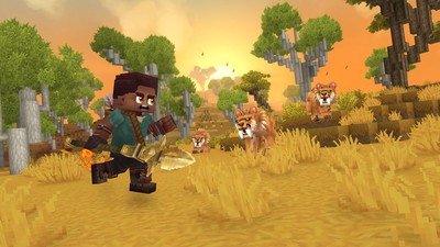 Hytale posters