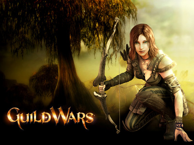 Guild Wars Poster #5010