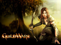 Guild Wars Poster 5010