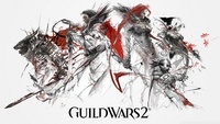Guild Wars 2 t-shirt #5193