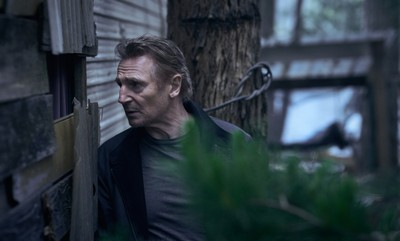 Liam Neeson Poster #52341