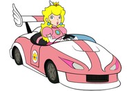Mario Kart Wii Poster 54015