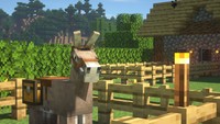 Minecraft Poster 55825