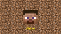 Minecraft Poster 55934