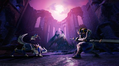 Monster Hunter Rise Sunbreak posters