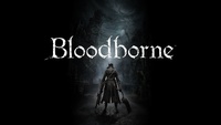 Bloodborne hoodie #5673
