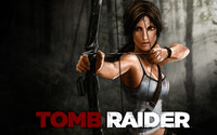 Tomb Raider Longsleeve T-shirt #5808
