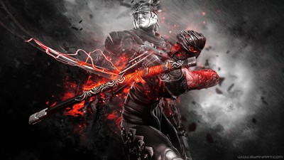 Ninja Gaiden Poster #58313