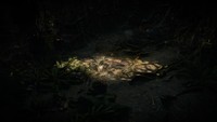 Path of Exile 2 Poster 59829