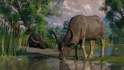 Planet Zoo posters