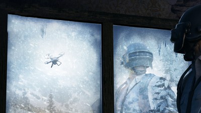 Playerunknown's Battlegrounds Poster #60430