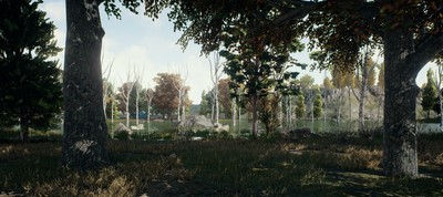 Playerunknown's Battlegrounds Poster #60651