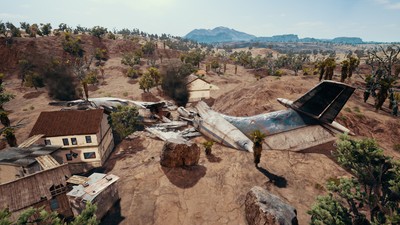 Playerunknown's Battlegrounds Poster #60659