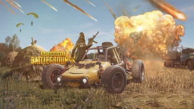 Playerunknown's Battlegrounds Poster #60701