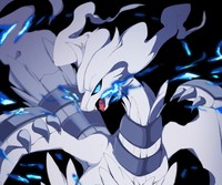 Pokemon Black and White Poster 60822