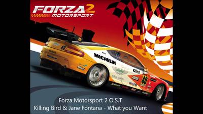 Forza Motorsport 2 hoodie