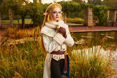 Princess Zelda Poster #61548