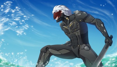 Raiden Poster #62164