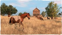 Red Dead Redemption Poster 62603