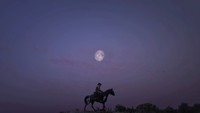 Red Dead Redemption 2 Poster 62676