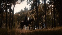 Red Dead Redemption 2 Poster 62689