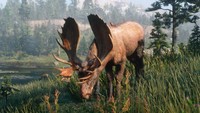 Red Dead Redemption 2 Poster 62743