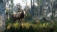 Red Dead Redemption 2 Poster 62746