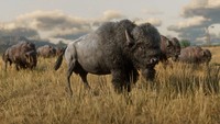 Red Dead Redemption 2 Poster 62747