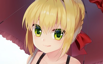 Red Saber calendar