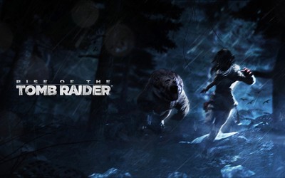 Rise of the Tomb Raider Poster #63494