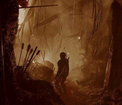 Rise of the Tomb Raider Poster #63513