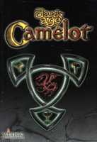 Dark Age of Camelot hoodie #6381