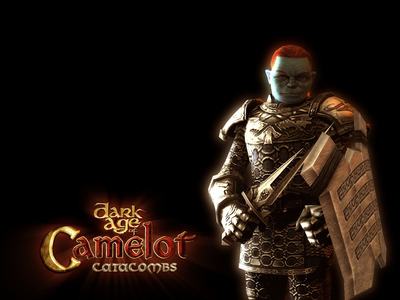 Dark Age of Camelot hoodie