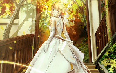 Saber tote bag #