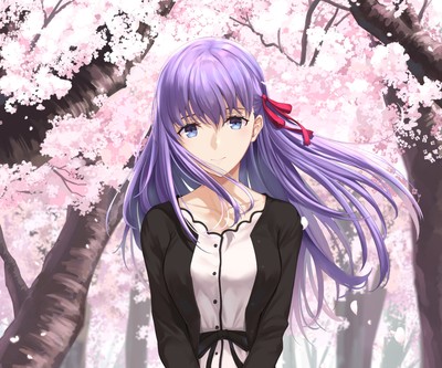 Sakura Matou Stickers #64546