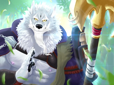 Sdorica hoodie